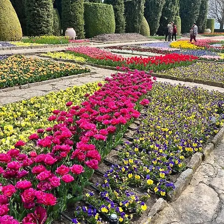 דירה просторни анастасия -балчик с морска гледка *