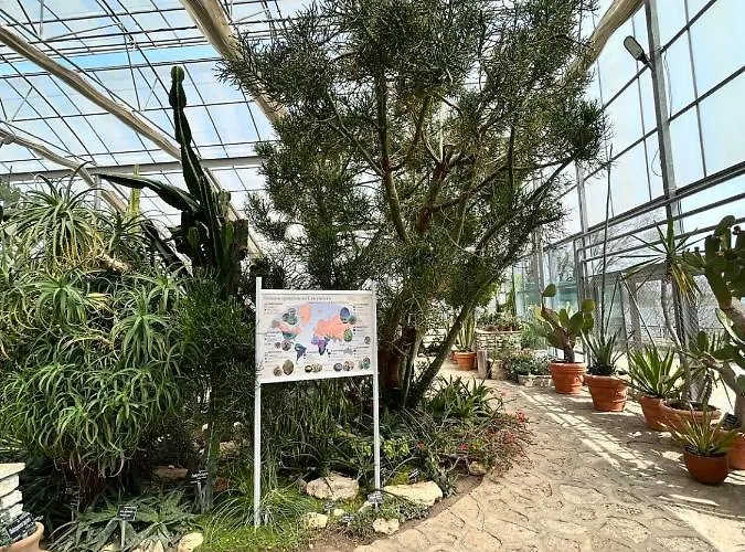 просторни анастасия -балчик с морска гледка